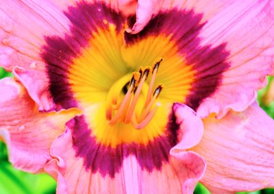 DSCF1521.jpg