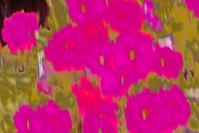 DSC01962.jpeg