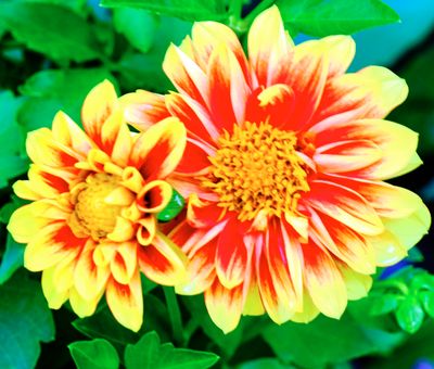 DSCF1548.jpg