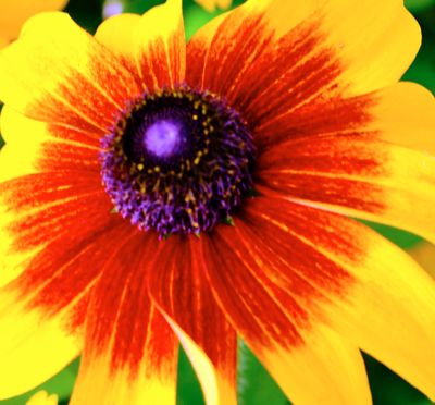 DSCF1587.jpg