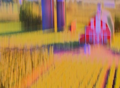 DSC02308.jpeg