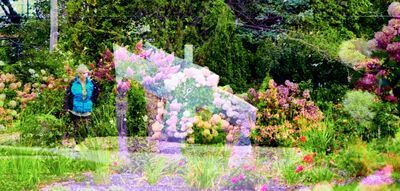 DSCF0150.jpg