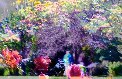 DSCF0321.jpg
