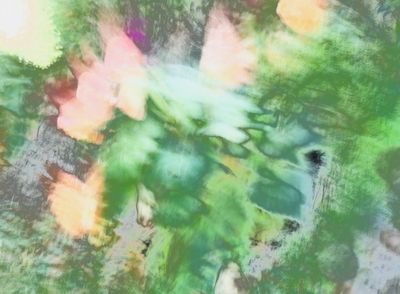 DSC03097.jpeg