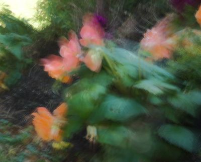 DSC03099.jpeg
