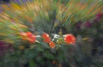 DSC03104.jpeg