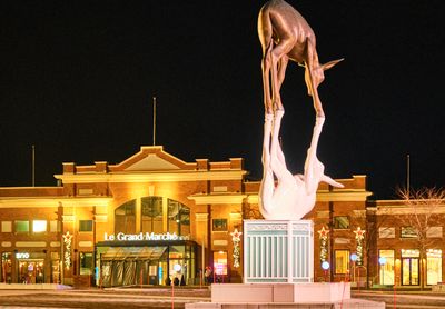 DSCF0368.jpg