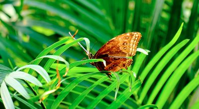 DSCF0552.jpg