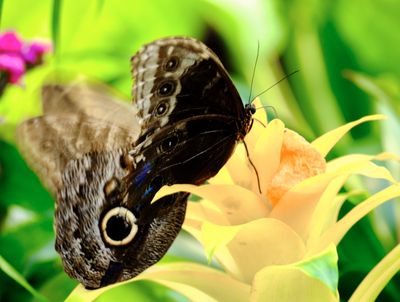 DSCF0570.jpg
