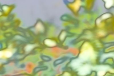 DSC03723.jpeg