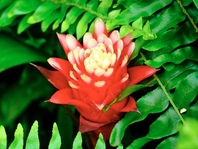 DSCF0572.jpg