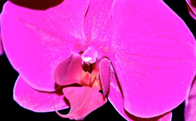 DSCF0647.jpg