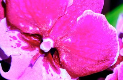 DSCF0665 1.jpg