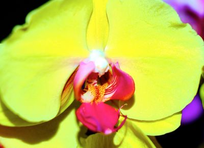 DSCF0668 1.jpg