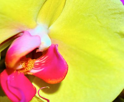 DSCF0671 1.jpg