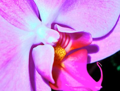 DSCF0673 1.jpg