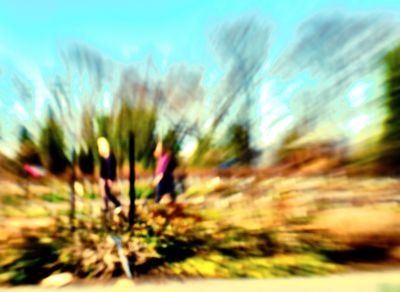 DSCF0790.jpg