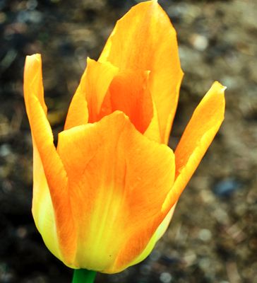 DSCF0822.jpg