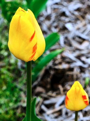 DSCF0840.jpg