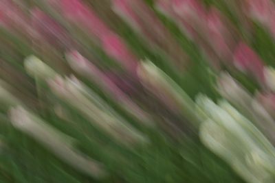 DSC04377.jpeg