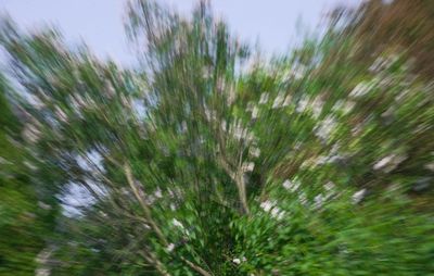 DSC04539.jpeg