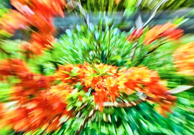 DSCF1049.jpg