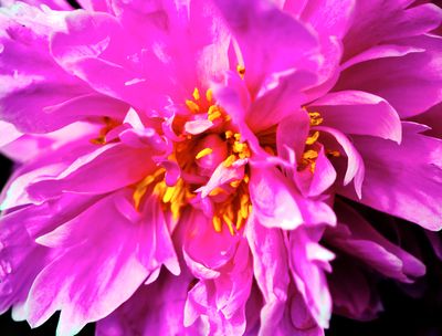 DSCF1098.jpg