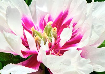 DSCF1119.jpg