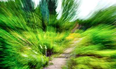 DSCF1137.jpg