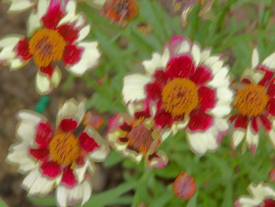 DSC04925.jpeg
