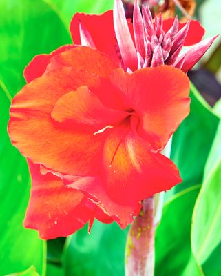 DSCF1261.jpg