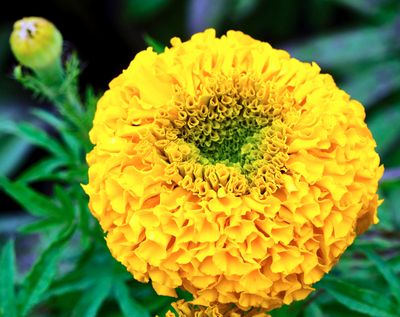 DSCF1274.jpg