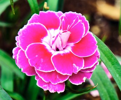 DSCF1317.jpg