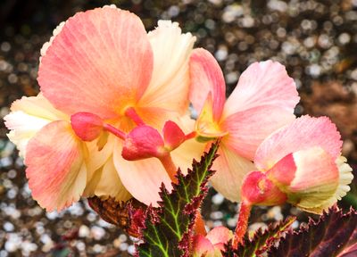 DSCF1319.jpg