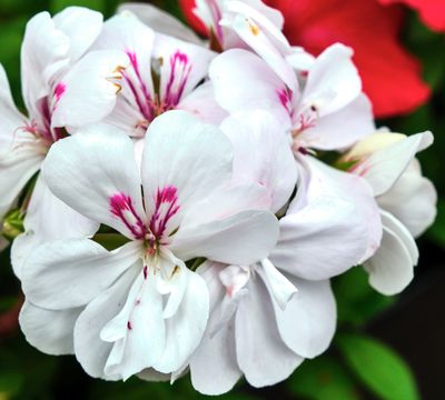 DSCF1327.jpg