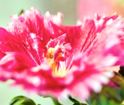 DSCF1584.jpg