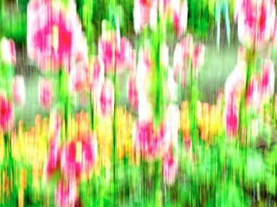 DSCF1632.jpg
