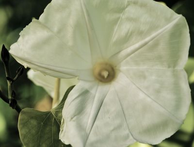 DSCF1690.jpg