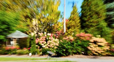 DSCF1712.jpg