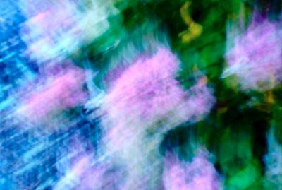 DSCF1723.jpg