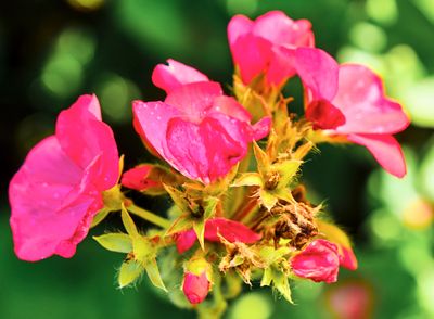 DSCF1746 1.jpg