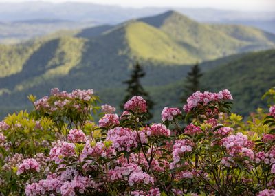 Blue Ridge Parkway