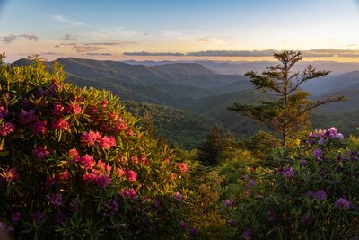 Blue Ridge Parkway