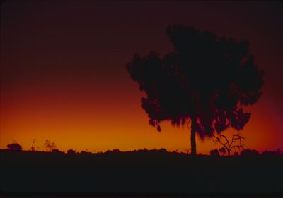 Sunset in the Outback