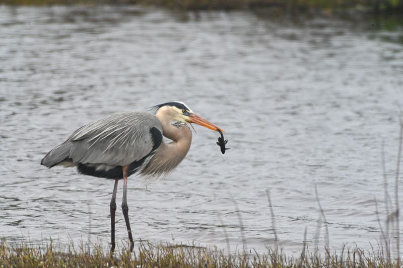 DSC_2258.jpg