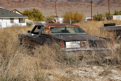 Keeler rusty cadillac in weeds