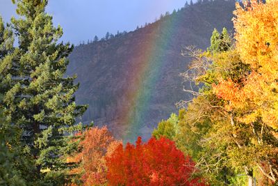 Rainbow on hills