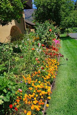 Landmark garden bed 1