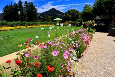 Landmark grounds 1