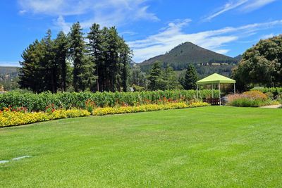 Landmark Winery grounds 3